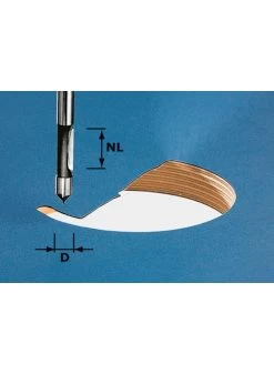 FESTOOL Hw S8 D8/19 Boorfrees Hw Schacht 8 Mm